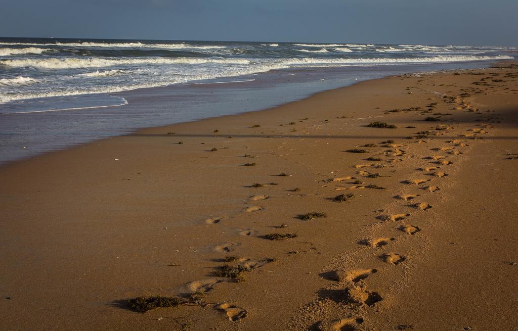View The Ocean At Flagler Beach, Florida Exterior photo